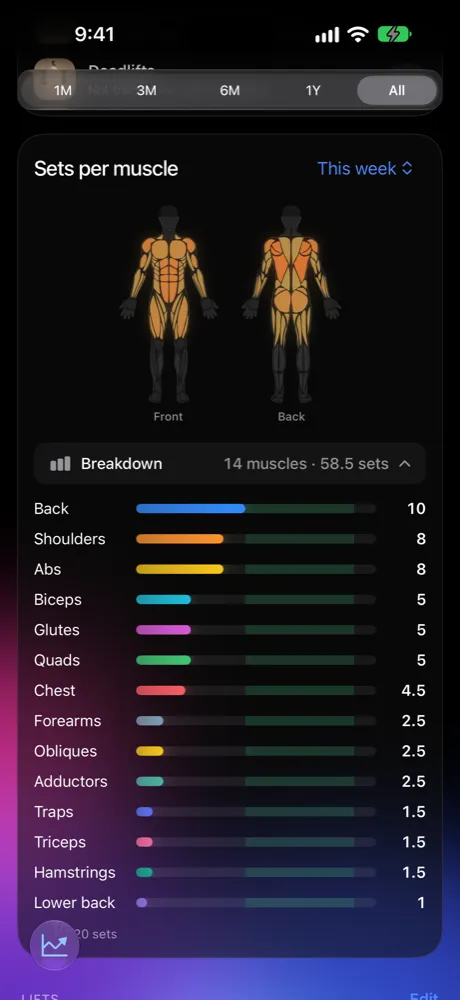 Sets per muscle body map